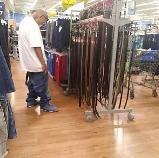 22893.jpg