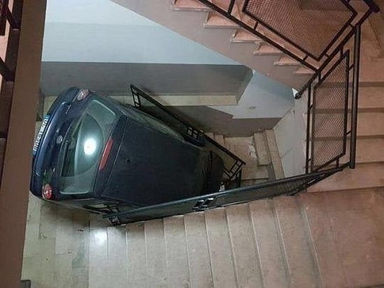 22931.jpg