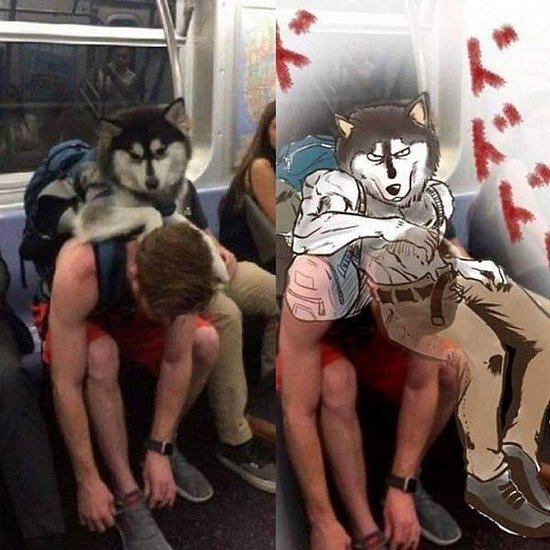 22981.jpg