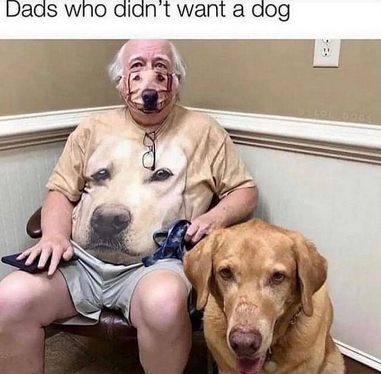 23090.jpg