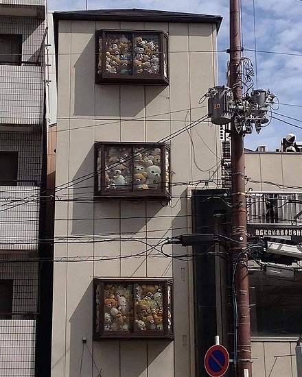 23241.jpg