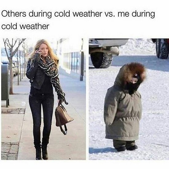 23274.jpg