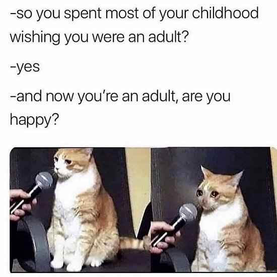 23281.jpg