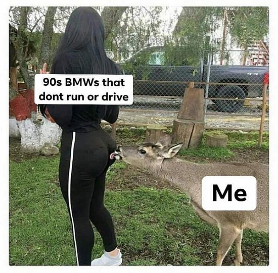 23282.jpg
