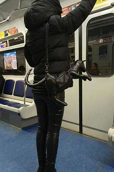 23398.jpg
