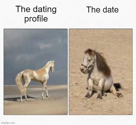 23399.jpg