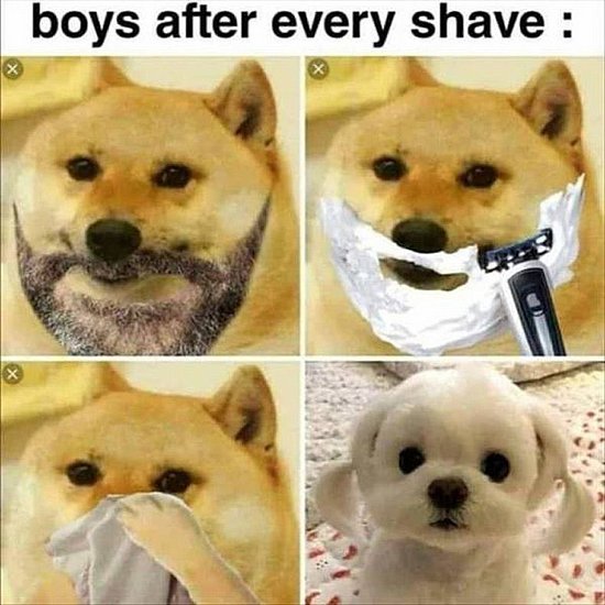 23439.jpg