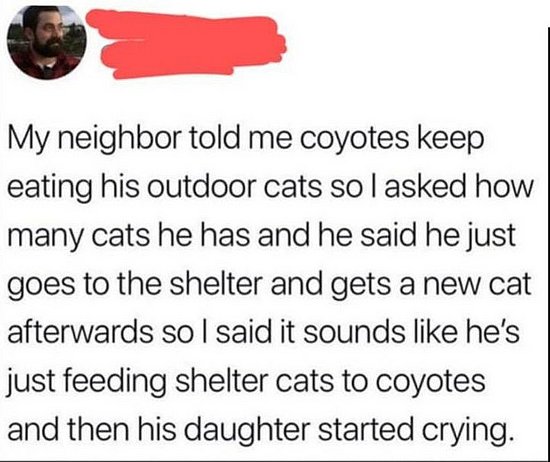 23466.jpg