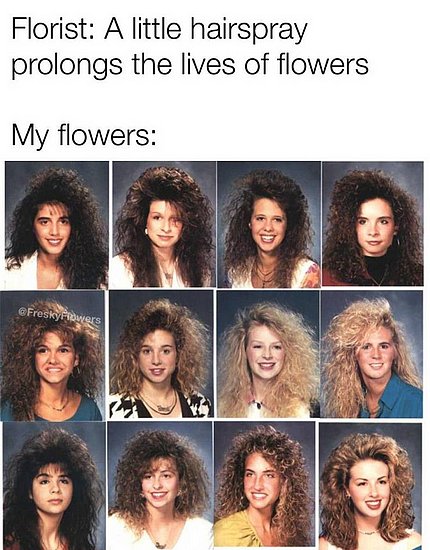 23502.jpg