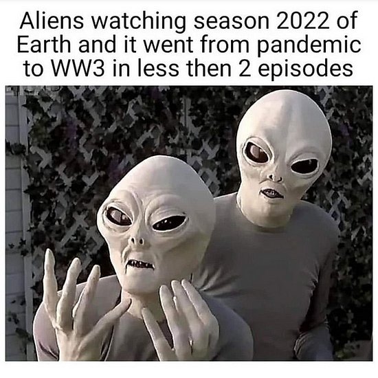 23505.jpg