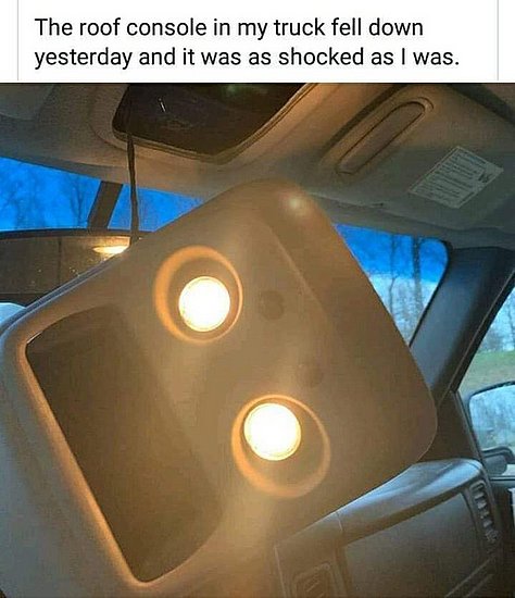 23531.jpg