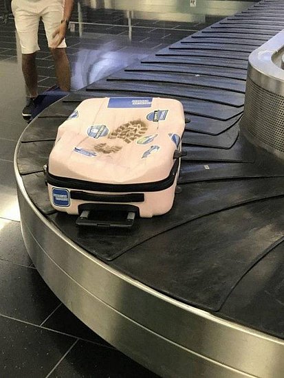 23552.jpg