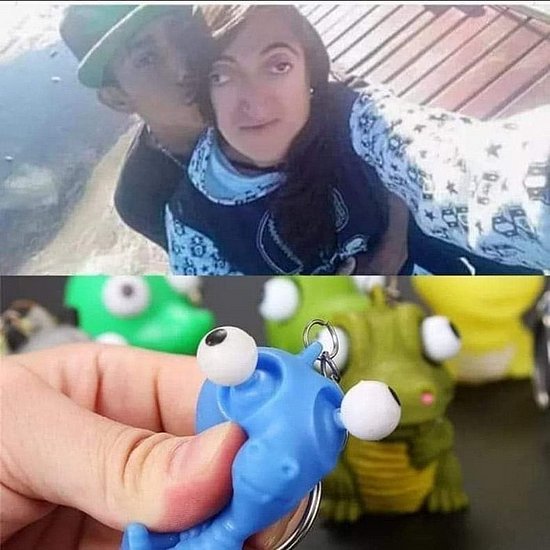 23558.jpg