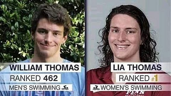 23585.jpg