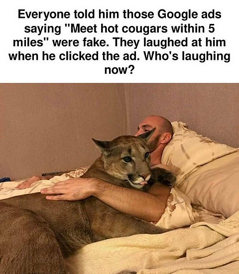 23599.jpg