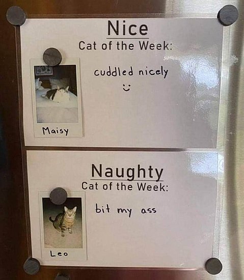 23605.jpg