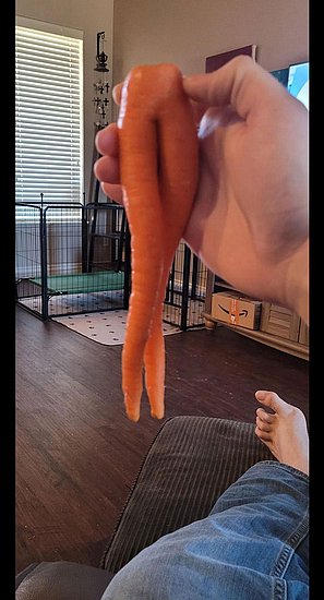 23623.jpg