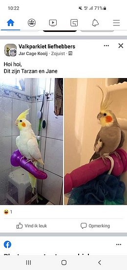 23636.jpg