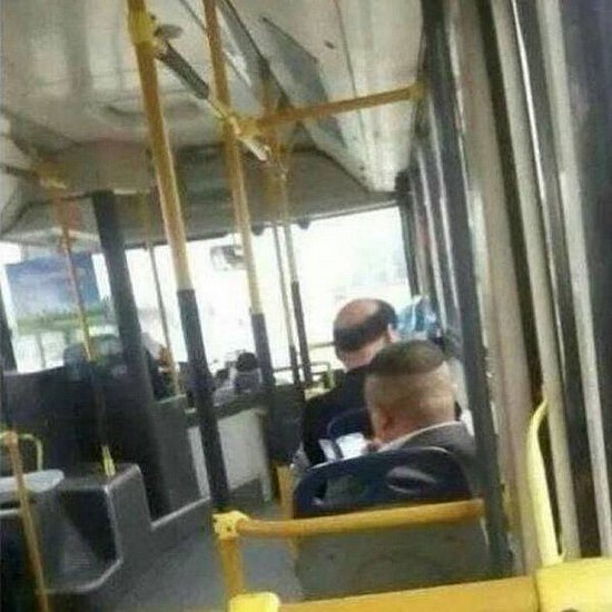 23655.jpg