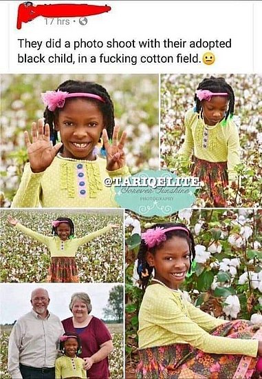 23665.jpg