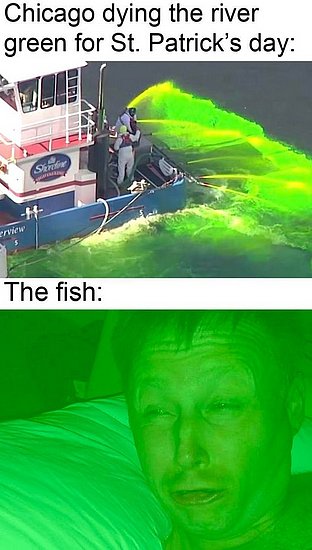 23675.jpg