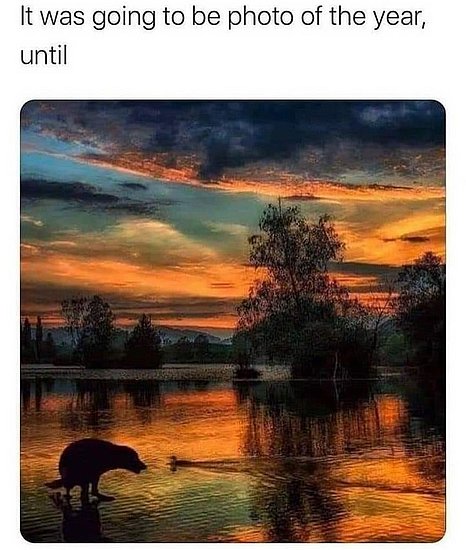 23676.jpg