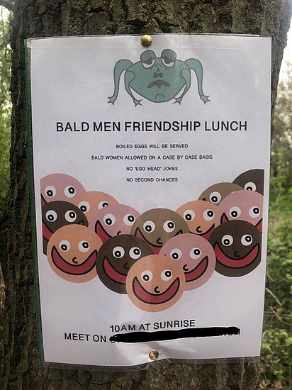 23678.jpg
