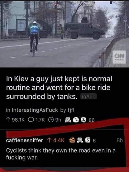 23736.jpg