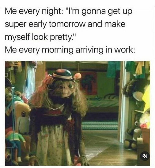 23789.jpg