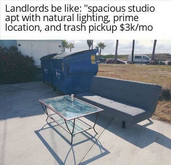 23790.jpg