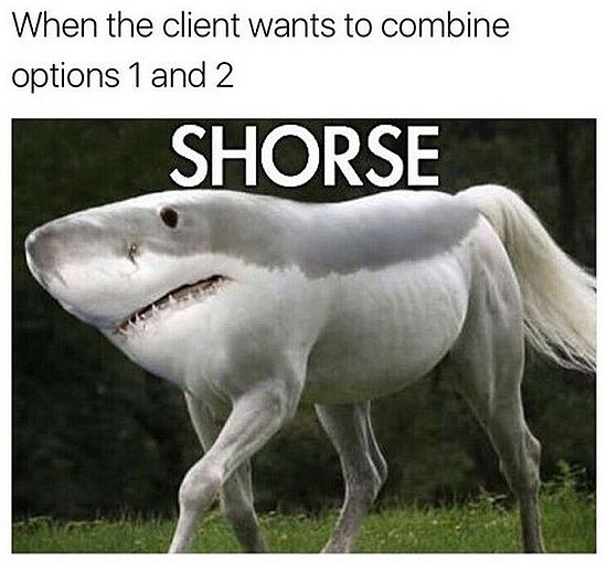 23808.jpg