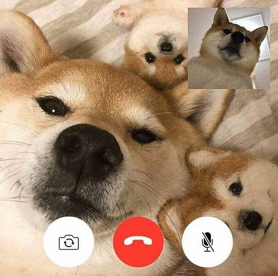 23847.jpg