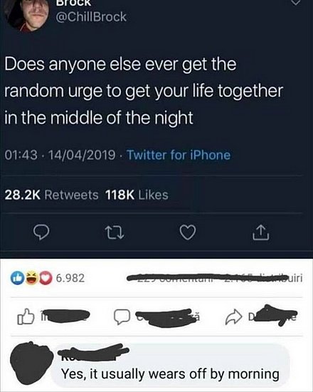 23864.jpg