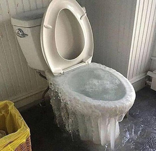 23868.jpg