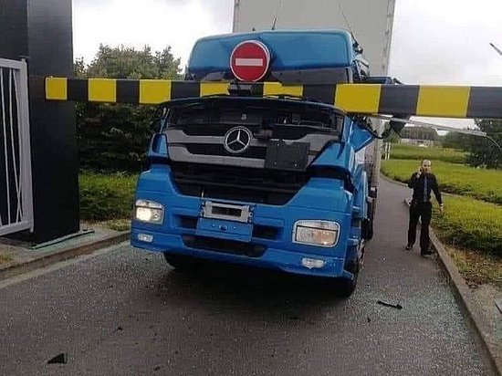 23876.jpg