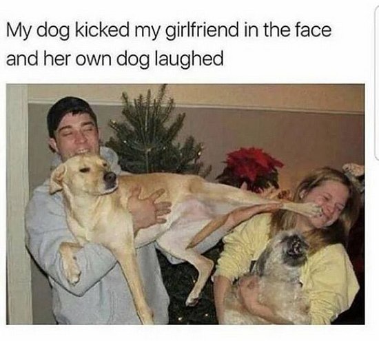 23881.jpg