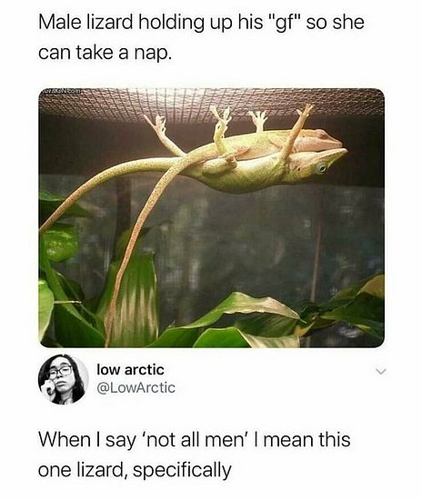 23927.jpg