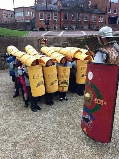 23940.jpg
