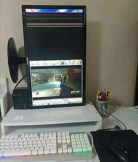 23973.jpg