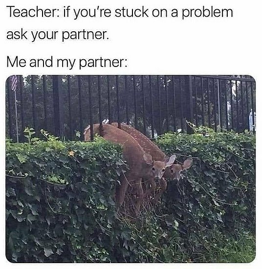 24035.jpg