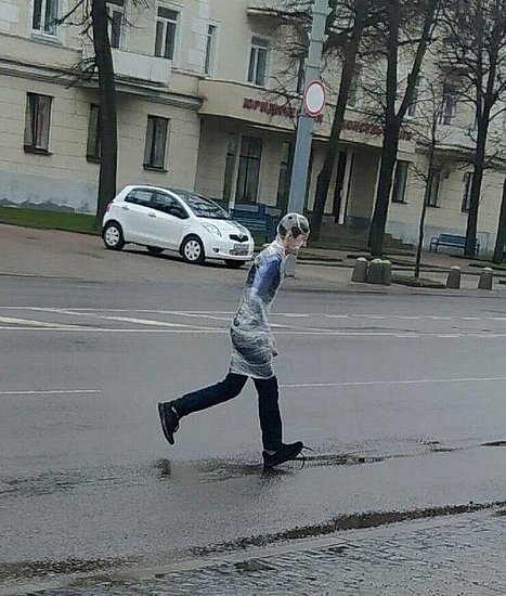 24169.jpg