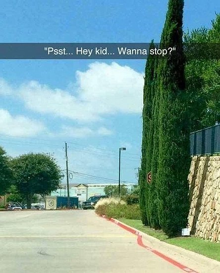 24229.jpg