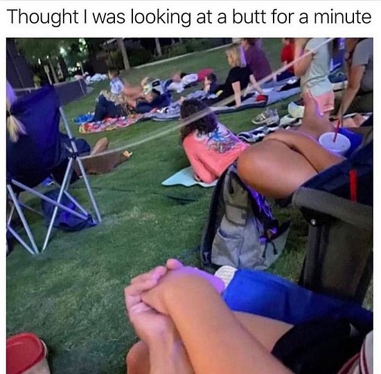 24235.jpg