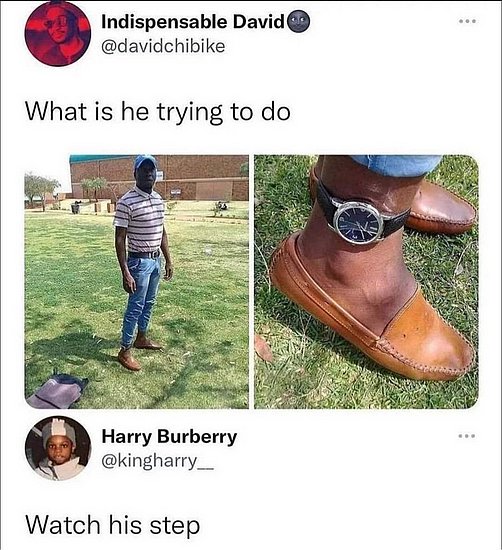 24237.jpg