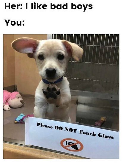 24296.jpg