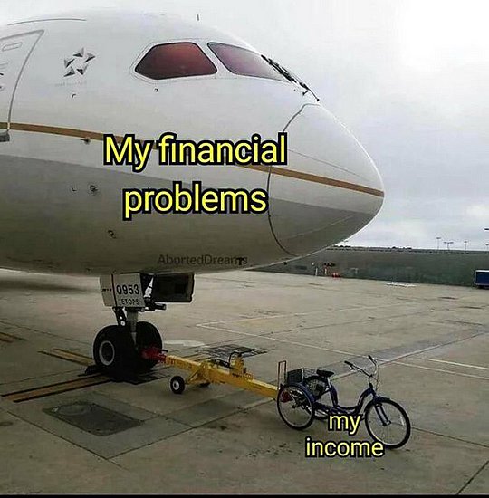 24316.jpg