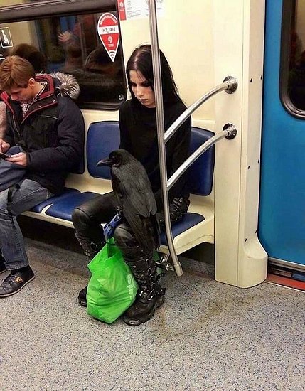 24355.jpg