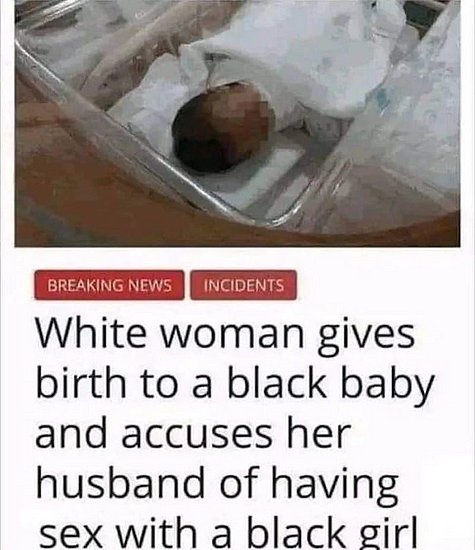 24380.jpg