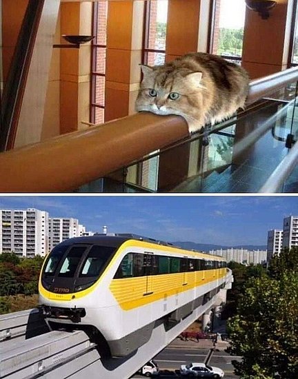 24391.jpg