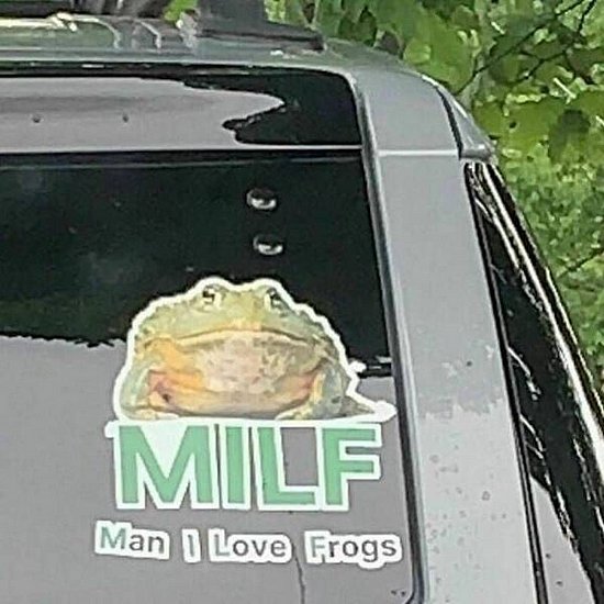 24489.jpg
